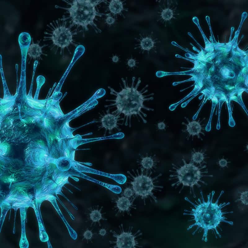 Preventing :disease Square Preventing :disease Square